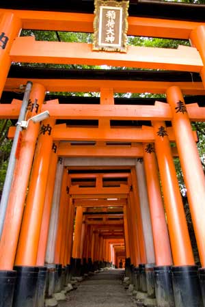 日本稻荷神社总社本宫——伏见稻荷大社