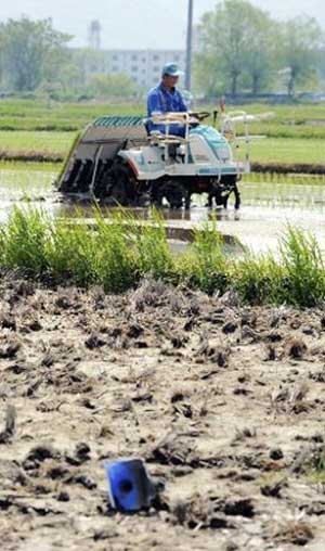 宫城县石卷市使用特殊肥料改善在海啸中受灾的农田