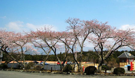多面的长崎平和公园
