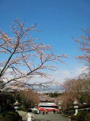 多面的长崎平和公园