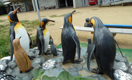 长崎企鹅水族馆