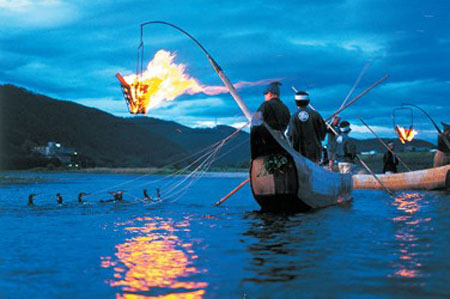 日本皇家渔民 长良川鸬鹚捕鱼