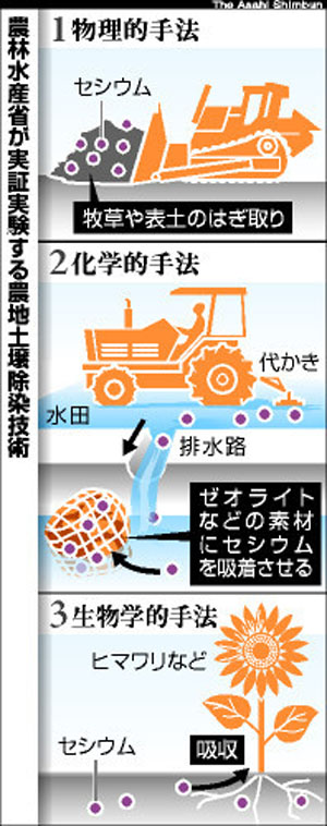 日本将进行净化受放射性物质污染农地技术的实验