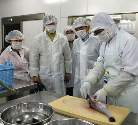 中国食品卫生部门派出视察团前往日本河豚养殖场