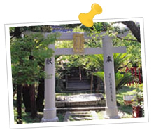烟花巷漫步一日游