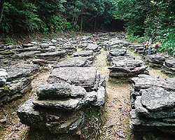 教会巡礼 大村·西彼半岛路线(所需时间估算) 教会巡礼 大村·西彼半岛路线(所需时间估算)