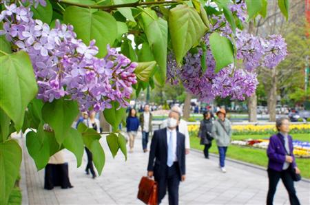 札幌紫丁香祭举行 标志夏日来临