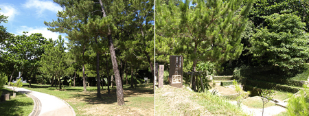 天女羽衣传说的发源地——森川公园