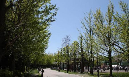 城市中心的绿洲——札幌市中岛公园