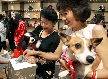 支援灾区宠物 东京举办宠物狗“慈善派对”