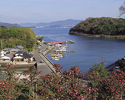 教会巡礼 大村·西彼半岛路线(所需时间估算) 教会巡礼 大村·西彼半岛路线(所需时间估算)