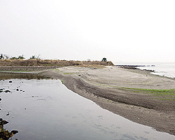 岛原殉教地