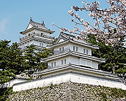 教会巡礼 岛原半岛路线（一日游）