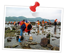 壹岐 海边游玩遗迹巡游的暑假2日1夜游