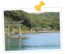 对马下岛地区 体验2日1夜自然之旅