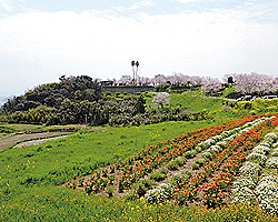 教会巡礼 岛原半岛路线（一日游）