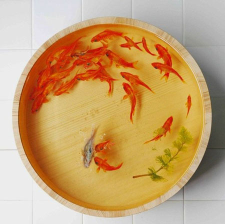 日本艺术家深堀隆介创意作品——立体树脂金鱼画