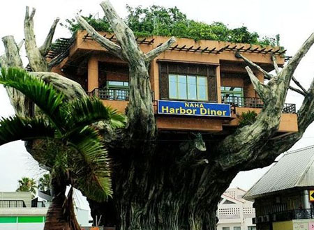 冲绳那霸之独具创意的餐厅---树屋餐厅