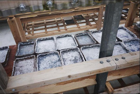 天然海盐体验馆 了解盐的产生过程