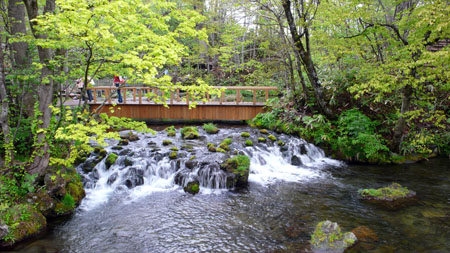 羊蹄山麓名水公园---自然之泉