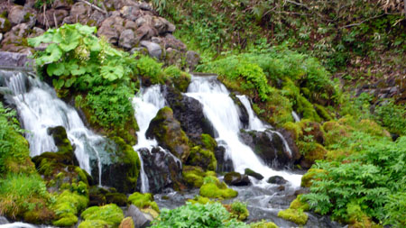 羊蹄山麓名水公园---自然之泉