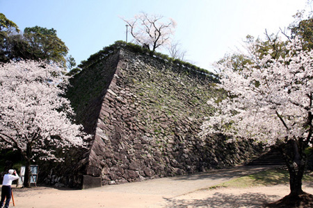 延冈市历史的见证遗迹——延冈城址