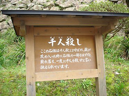 延冈市历史的见证遗迹——延冈城址