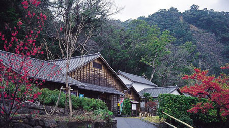 天下名园 鹿儿岛仙岩园