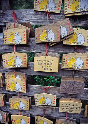 天下名园 鹿儿岛仙岩园