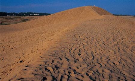 日本最大的沙丘 鸟取大沙丘