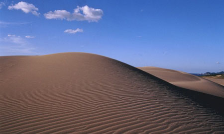 日本最大的沙丘 鸟取大沙丘