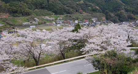 须崎市