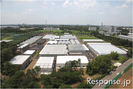 日本推进柏叶学园城建设 打造智能城市