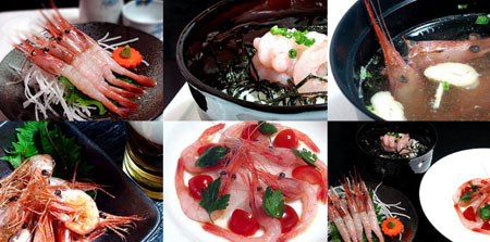 北海道名产—甜虾