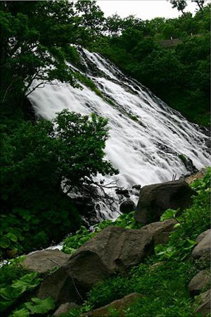 小清水原生花园 尽显原生态自然景观
