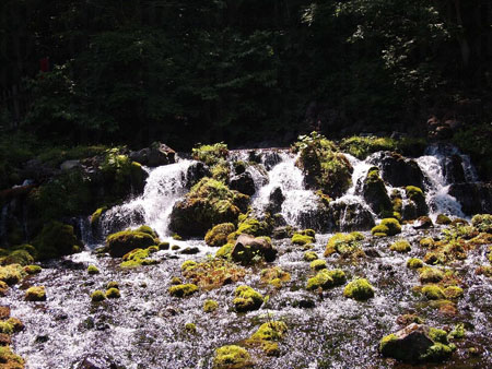 自羊蹄山而来的泉水 清凉悠闲之地FUKIDASHI公园