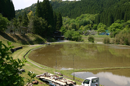 露营的好去处—青井岳自然公园