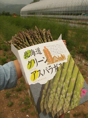 北海道二世古新型态农场---NISEKO GREEN FARM