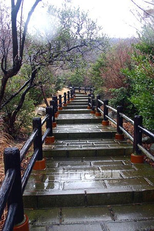 日本最早的国立公园 云仙国立公园