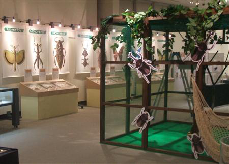 神奈川县立地球市民广场 夏日昆虫展火热进行