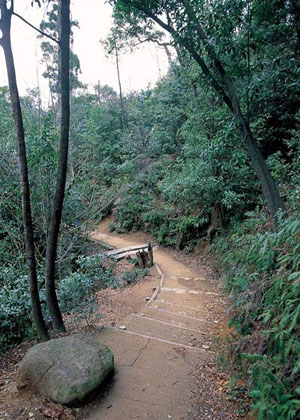 神山圣地 广岛县的弥山