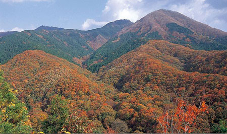 且行且赏 冈山县的蒜山高原