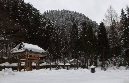 参禅悟道永平寺