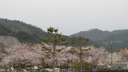 小滨市