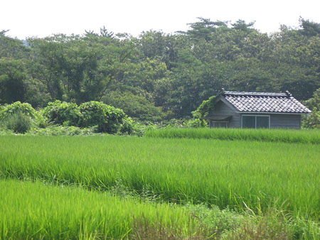 珠洲市