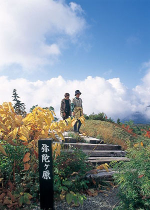 高原上的梦境世界  富山县的弥陀原