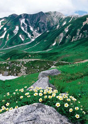 高原上的梦境世界  富山县的弥陀原