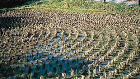 探访飞驒国的历史遗迹 岐阜县的飞驒之里