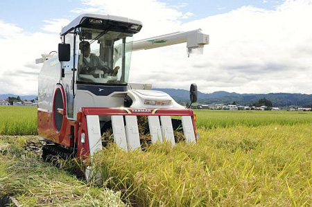 福岛县稻米出货前将接受核检测