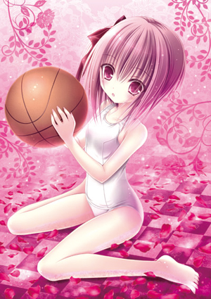 萌系动画萝球社登录psp精美特典捆绑发行